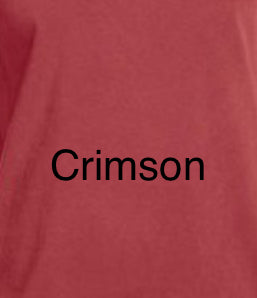 Baseball Mom (with mascot)