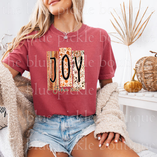 Joy ~ John 16:22