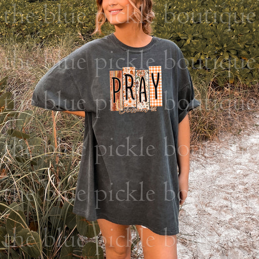 Pray ~ Colossians 4:2