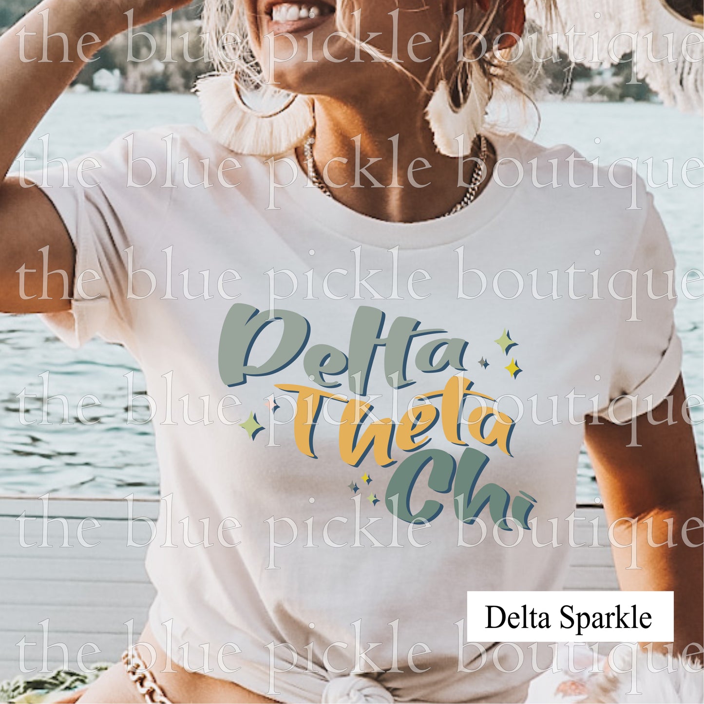 Delta Theta Chi Fundraiser