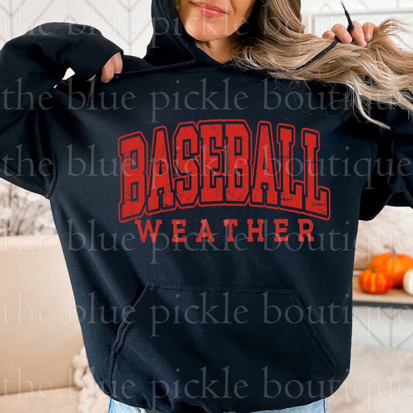 Baseball Weather