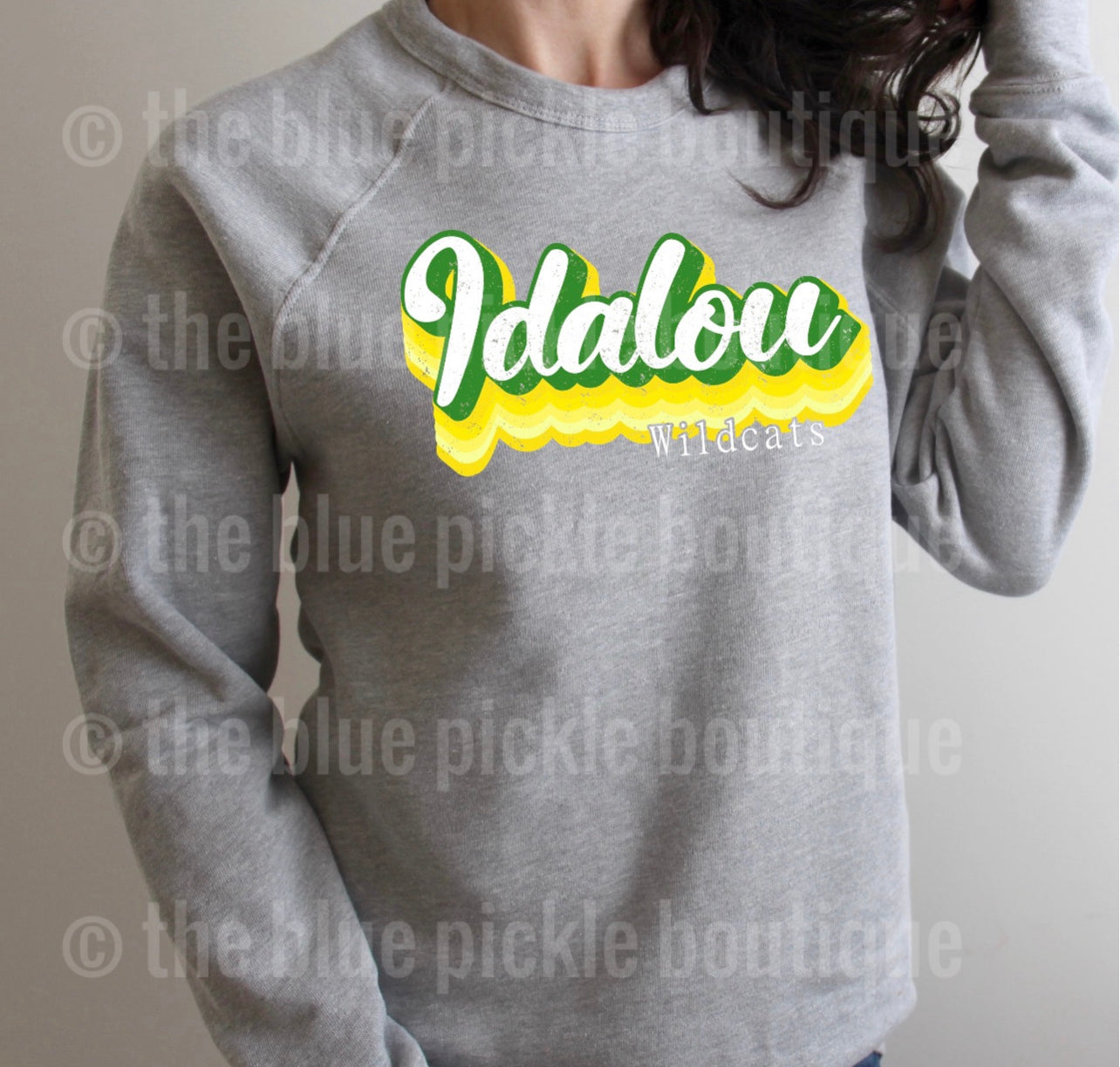 Retro School Spirit Shirt or Sweatshirt