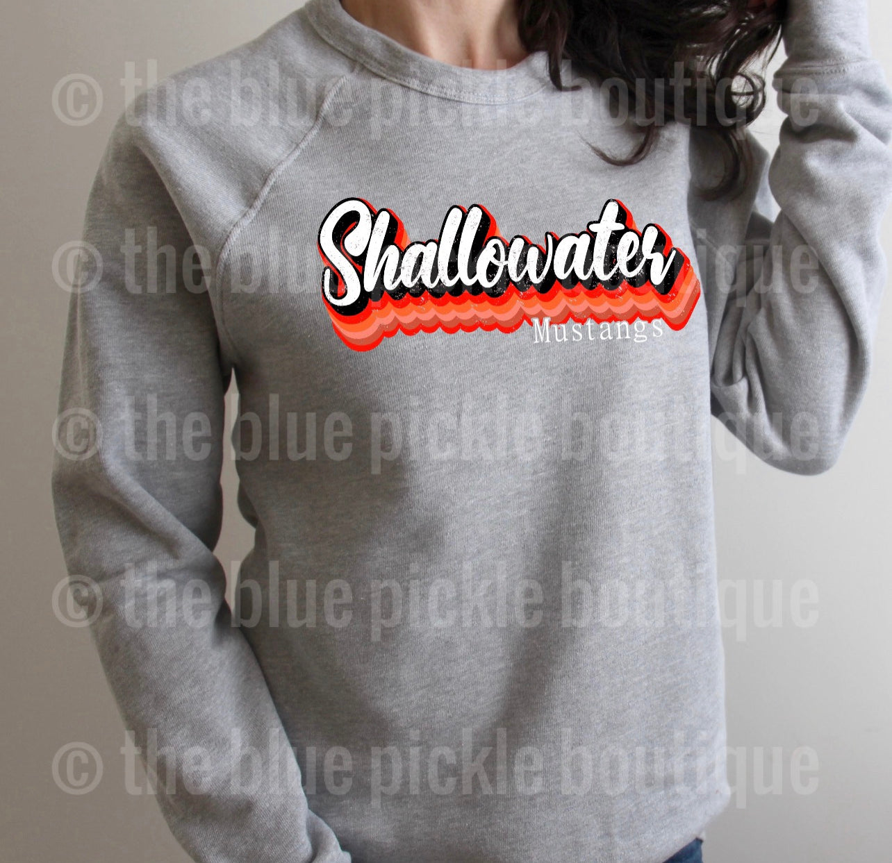 Retro School Spirit Shirt or Sweatshirt