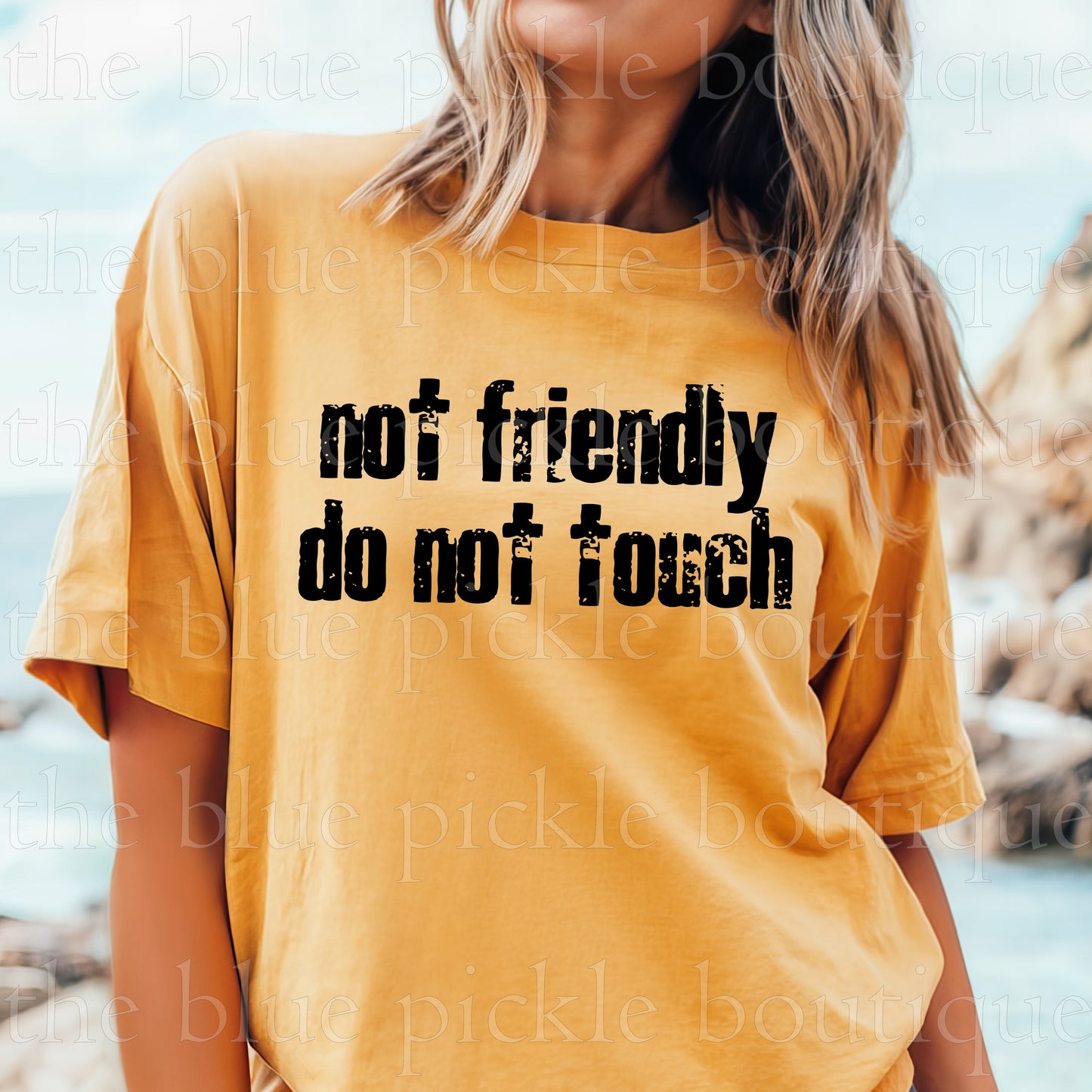 Not Friendly Do Not Touch