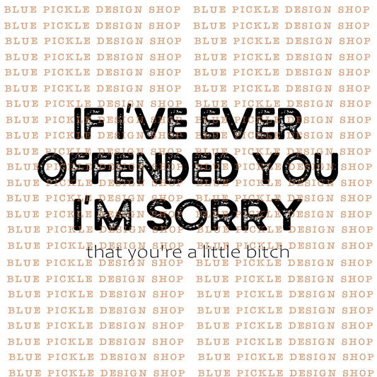 If I've Ever Offended You,I'm Sorry That You're A Little Bitch - DIGITAL DESIGN